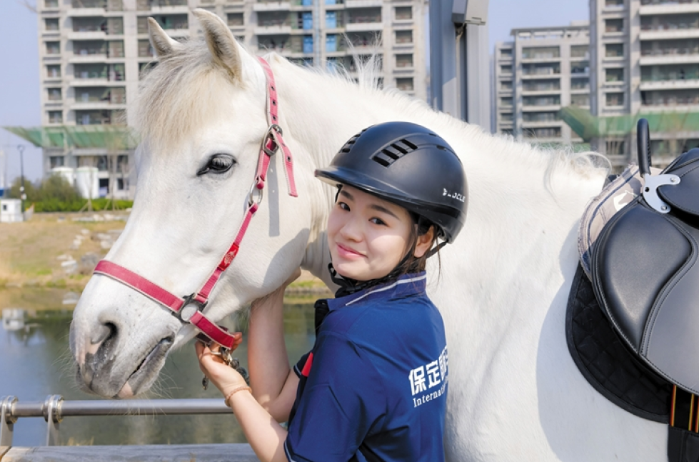 马上来保定  百马踏春风