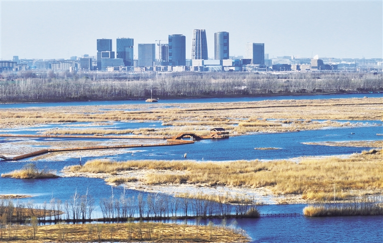 雄安新区：从蓝图到实景